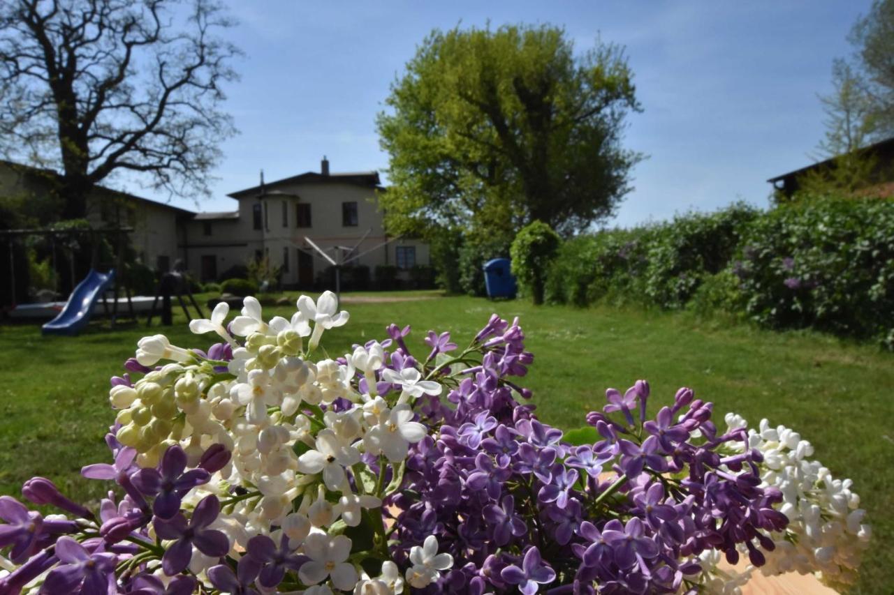 "Villa Seeheim" Ferienobjekt Direkt Am Wasser Ovs 692 Gustow  Exteriér fotografie