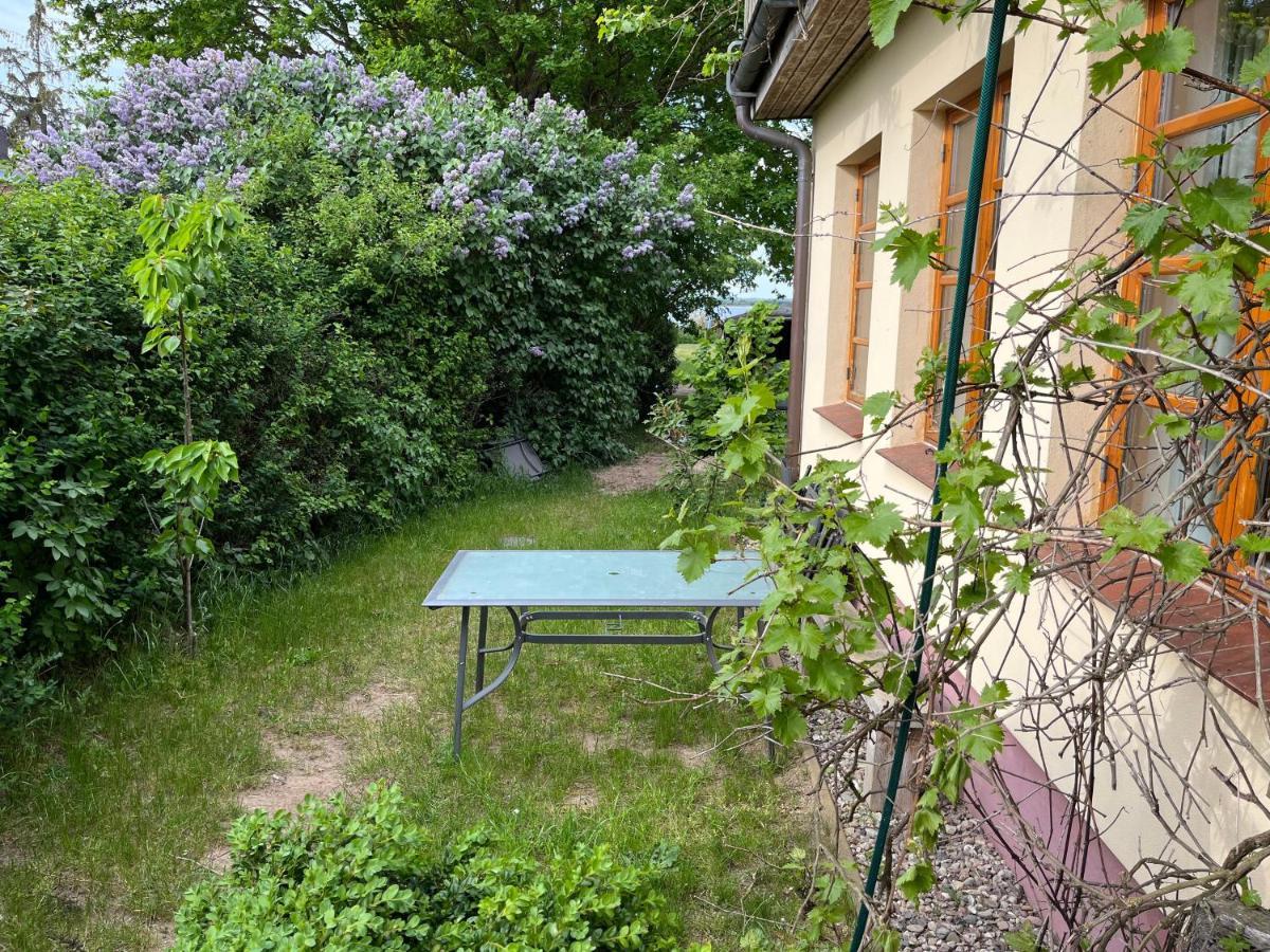 "Villa Seeheim" Ferienobjekt Direkt Am Wasser Ovs 692 Gustow  Exteriér fotografie